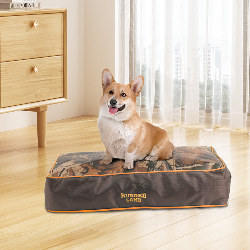 Matelas pour chien avec housse amovible, H 6,2 po x l 23,6 po x P 15,75 po
