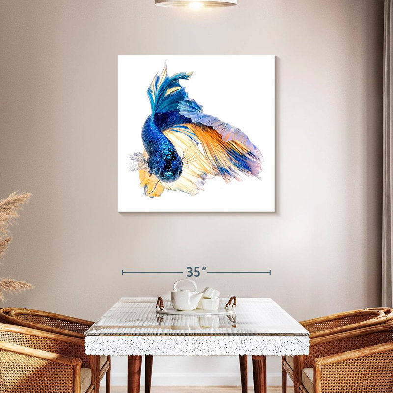 Crowle Halfmoon Betta, 36" H x 36" W