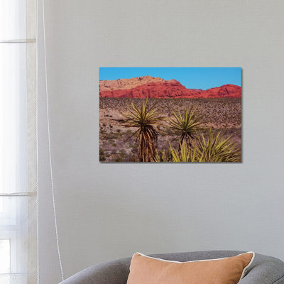 Soaptree Yucca, Red Rock Canyon National Conservation Area, Nevada, USA by Michel Hersen - Wrapped Canvas Gallery-Wrapped Canvas Giclée