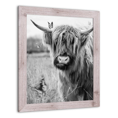 " Black And White Highland Cow "