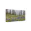Fabrizzio Pierre Leclerc Mountain Wildflowers - Reproduction de photo sur toile tendue-27647957