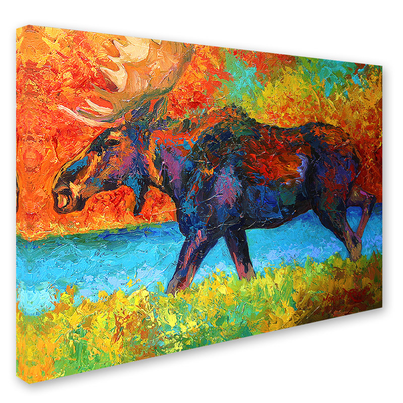 Kucera 'Moose EBSQ' Print on Wrapped Canvas, 14" H x 19" W