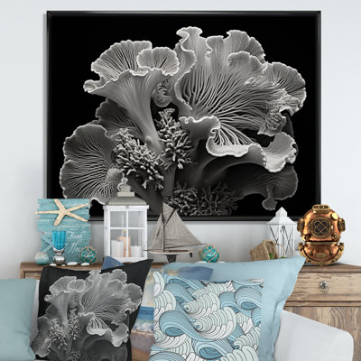 " Black And White Anemone Reef II "