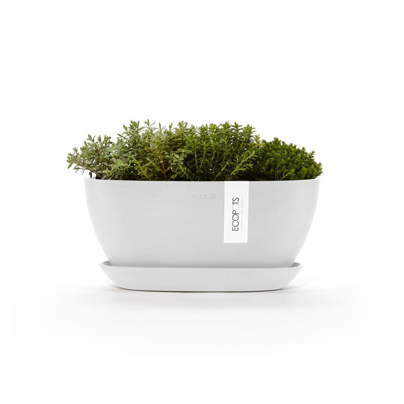 Jardinières en pot, Blanc pur