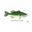 «Largemouth Bass» par Mark Frost, impression sur toile tendue-2052397781