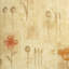 Desiree Cotton Loveseat