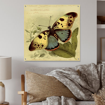 Illustration rétro de papillon III - décoration murale acrylique papillon