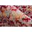 Lorrika Oriental Indoor Rug-30047022