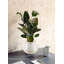 Vase en céramique ivoire - Finition élégante, design évasé intemporel, parfait pour les arrangements floraux, décoration intérieure moderne et idées de cadeaux, 6,5 po de diamètre et 5,5 po de hauteur, paquet de 12-1023507423-1023507420