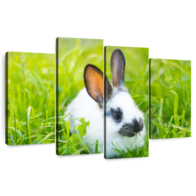 Brampt Grass Munching Rabbit, 14" H x 24" W