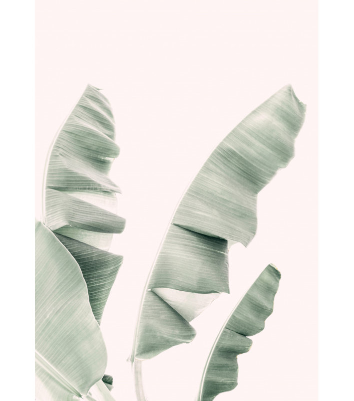 Banana Leaves, 91.44 cm H x 60.96 cm W