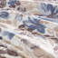 Édredon et drap - très grand bleu, couette très grande à motif floral brossé, 2 taies décoratives