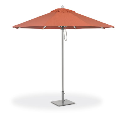 Sunbrella - marché 9 pi Oxford