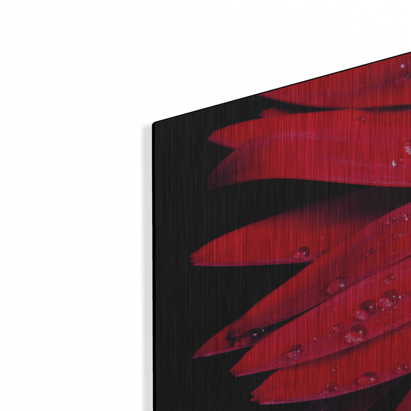 Gerbera rouge avec gouttes d'eau 03 par Tom Quartermaine, H 16 po x l 24 po