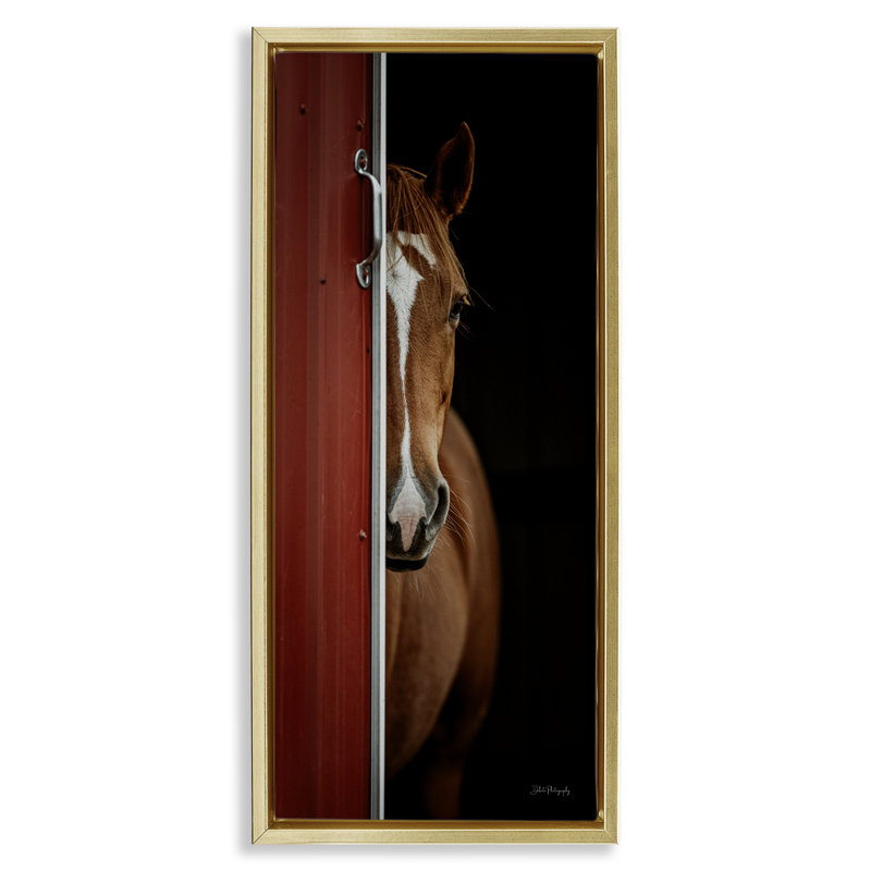 «Brown Stallion Peeking», art mural encadré flottant par Dakota Diener, Cadre flottant métallique doré, H 31 po x l 15 po