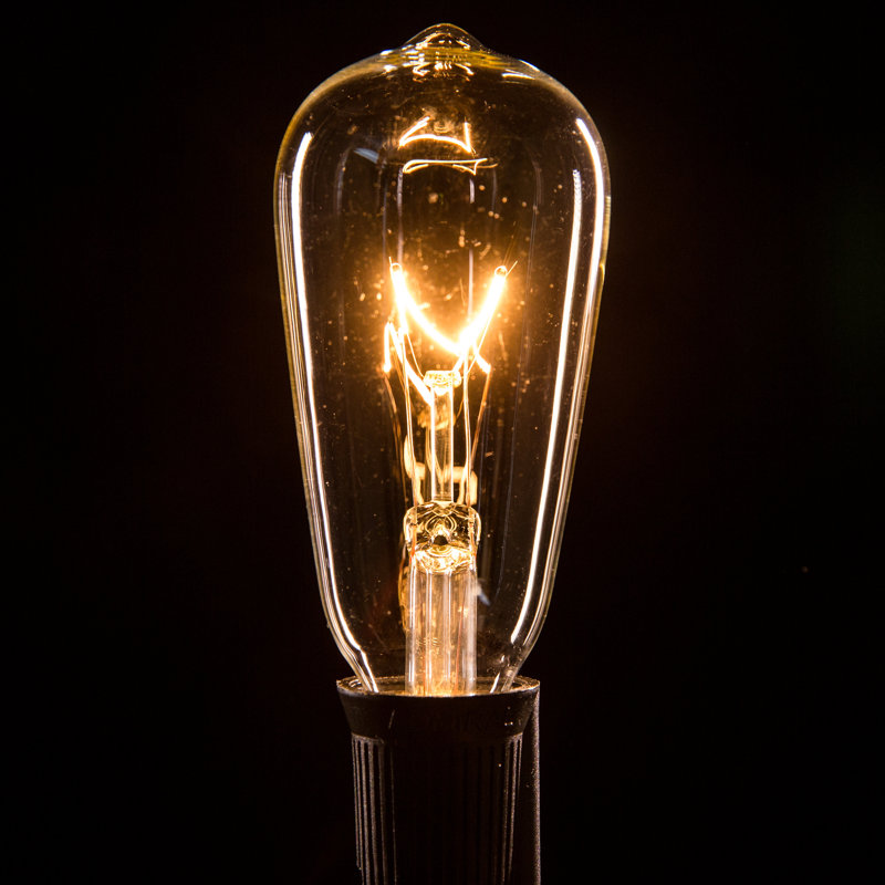Guirlande de 50 lumières à DEL Edison, Noir