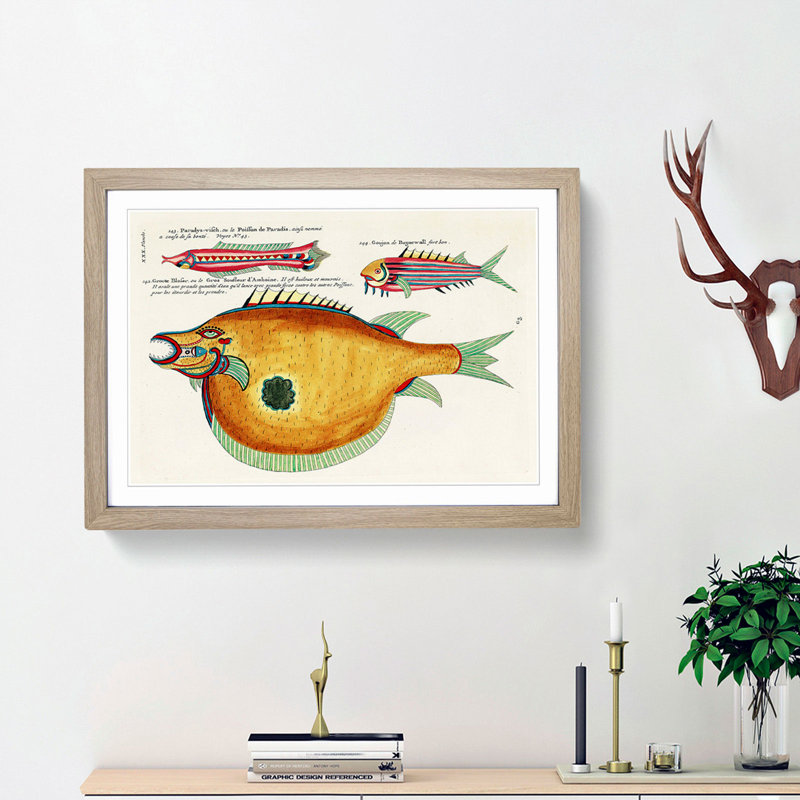 East Indies Fish Illustrations XXX by Louis Renard - Picture Frame Graphic Art Print, 27cm H x 36cm W x 2cm D, Oak Framed