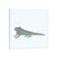 Iguana by Nic Squirrell - Wrapped Canvas Gallery-Wrapped Canvas Giclée-510384122-478617349