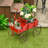 Chasitty Planter-1741917176