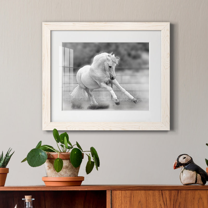 " All For Show ", 24" H x 18" W x 1.5" D, White Framed Paper