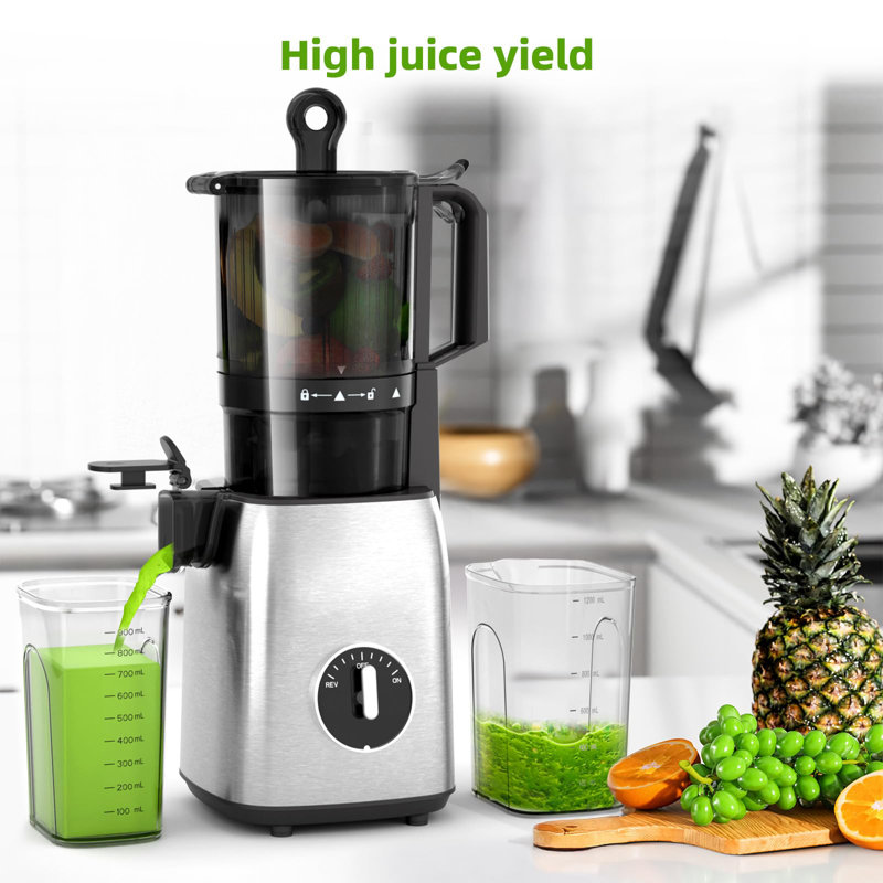 Extracteur de jus pressé à froid de 5,4 po, presse-agrumes, 98% de rendement élevé, mastication lente compacte de 300 W, facile à nettoyer et à installer, argent pour légumes et fruits entiers