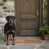 Rottweilers