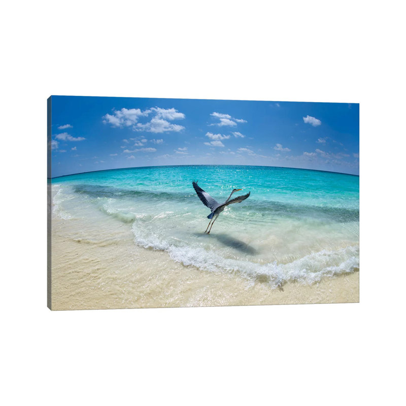 Take-Off by Roberto Marchegiani - Wrapped Canvas Gallery-Wrapped Canvas Giclée, 20.32 cm H x 30.48 cm W