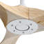 Nicola 60" Ceiling Fan with Remote Control-1205610632