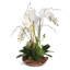 Real Touch Phalaenopsis Silk Orchid with Succulents Floral Arrangement