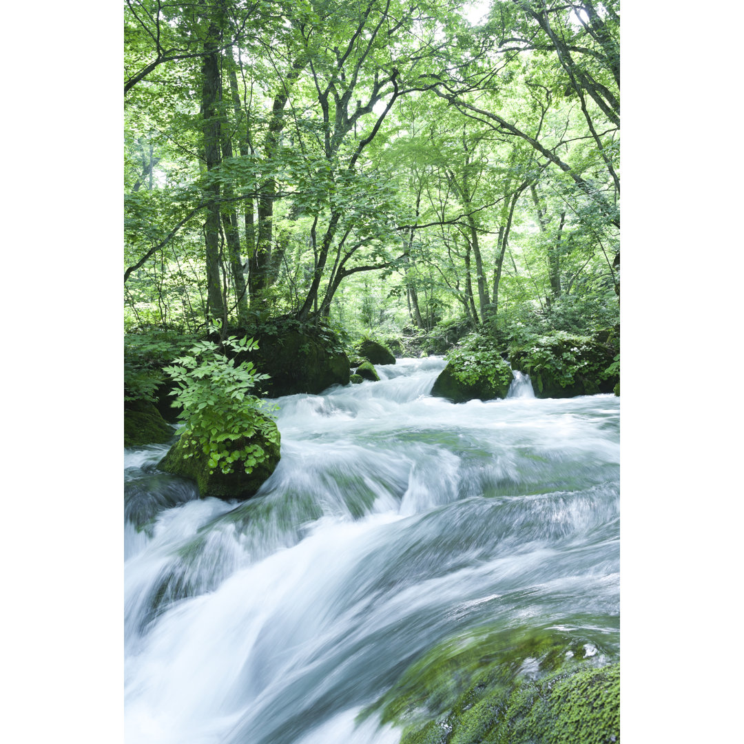 Mountain Stream Flow von Ooyoo - Kunstdrucke auf Leinwand