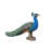 Peacock Bird Statue-Small