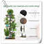Support pour plante 5 niveaux 6 plantes pour plusieurs porte-fleurs