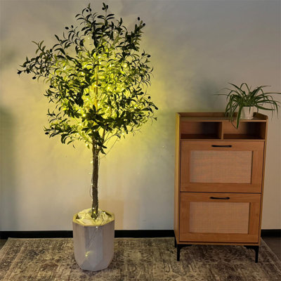180cm Plant