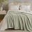 1 Piece Queen Blanket,Sage Green-119336190