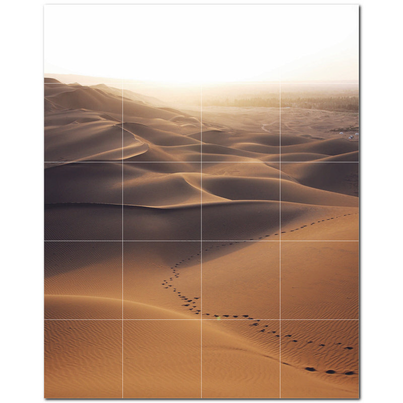 Murale décorative en céramique satinée 4,25 po x 4,25 po Desert Photo