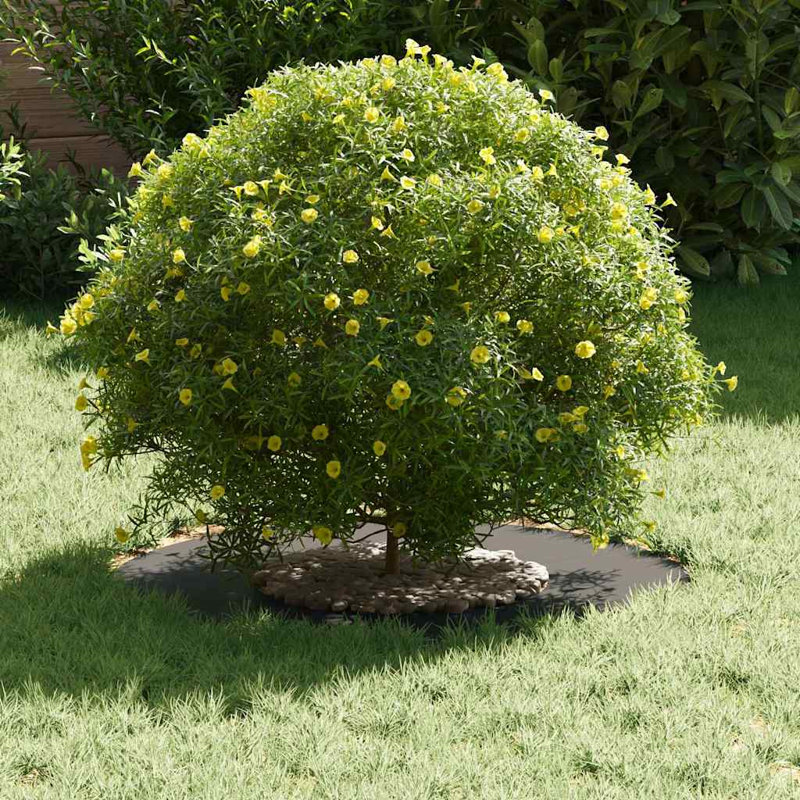 Tree Ring Decorative Garden Modern Protector Outdoor Ornament Base Home, 60cmW x 60cmD, Black