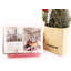 Support pour livres de bureau-49888594