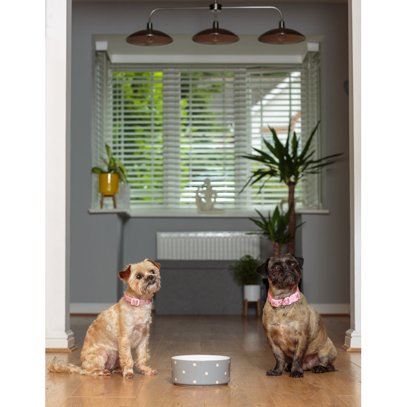 Polka Dot Dog Bowls, 5cm H x 18cm W x 18cm D, Sage/Grey