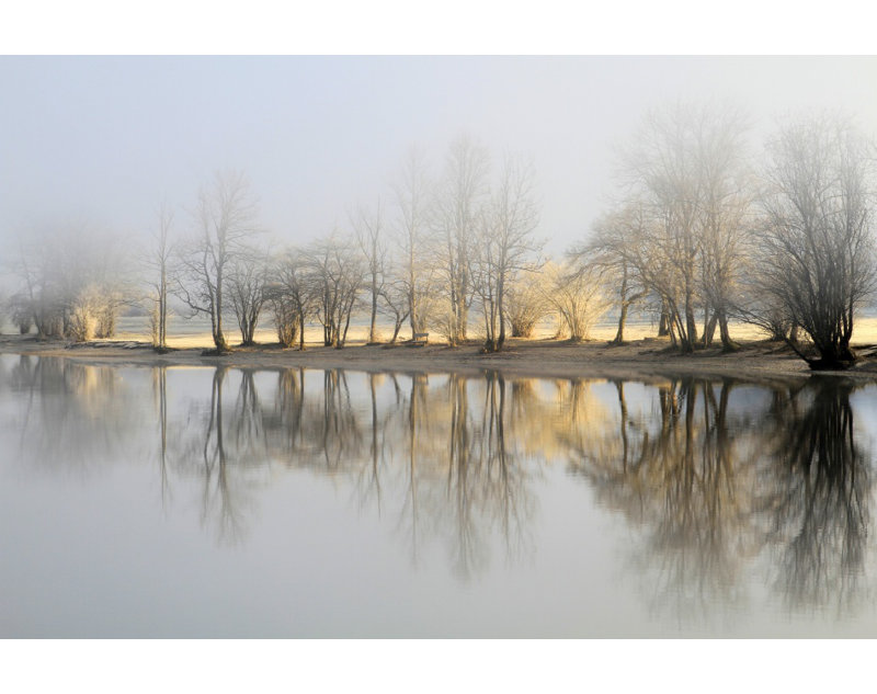 Wrapped Canvas Print, 91.44 cm H x 60.96 cm W