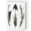 «Watercolor Feathers II», reproduction sur toile-742182089-739381968