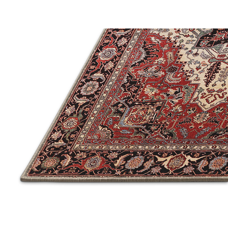 Oriental Indoor Rug, Rectangle 5' x 7'