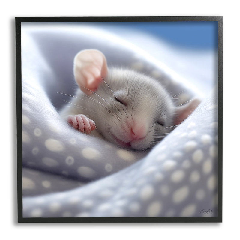 «Soft Sleeping Mouse» encadrée sur bois par Roozbeh, H 24 po x l 24 po x P 1,5 po, Giclée encadrée noir minuit