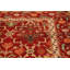 Wool Floral Area Rug in Beige/Brown, Blue, Green, Orange, Red