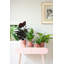Pot Planter-69444361-69444373