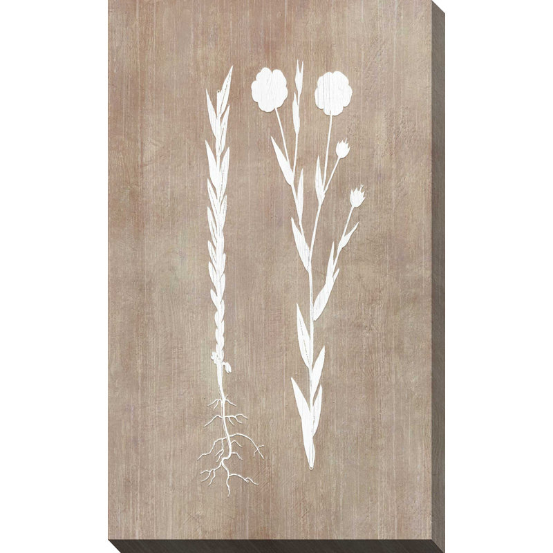 Botany Beauty III - Peinture, L 18 po x H 30 po, Toile tendue