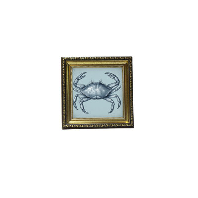 Crabe bleu ayotomi en bleu marine et blanc 2