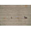 Tapis tribal de style oriental Gabbeh 5 x 8