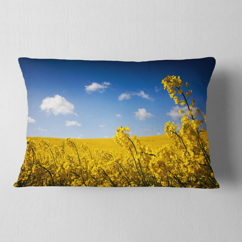 Coussin lombaire Photographie