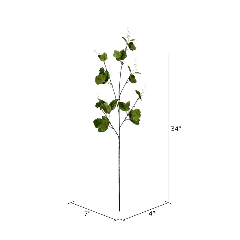 Hop Leaf Arrangement
