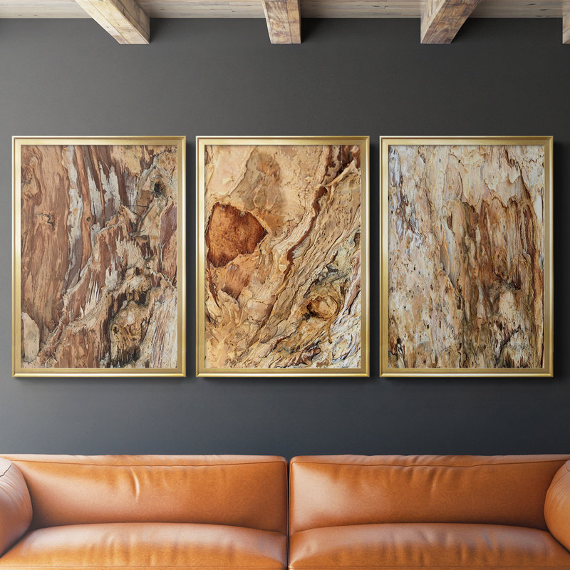 «Tree Texture Triptych I», toile encadrée de qualité supérieure - prête à être accrochée, Cadre doré